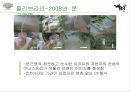 이니스프리,미용, 마케팅전략사례, 마케팅,브랜드, 브랜드마케팅, 기업, 서비스마케팅, 글로벌, 경영, 시장, 사례, swot, stp, 4p, 올리브라인, 그린티라인, 화산송이라인 8페이지