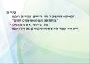 입양,공개입양,해외입양,마케팅,브랜드,브랜드마케팅,기업,서비스마케팅,글로벌,경영,시장,사례,swot,stp,4p 24페이지
