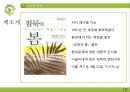 자연,자연화괴,친환경,마케팅,브랜드,브랜드마케팅,기업,서비스마케팅,글로벌,경영,시장,사례,swot,stp,4p 16페이지