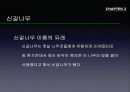 참나무 (대표적 수종의 구별, 참나무의 이용).PPT자료 26페이지