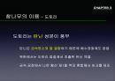 참나무 (대표적 수종의 구별, 참나무의 이용).PPT자료 49페이지