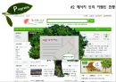 대우푸르지오 SNS 활용 기획안.PPT자료 12페이지