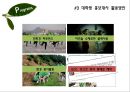 대우푸르지오 SNS 활용 기획안.PPT자료 15페이지