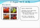 J-Aqua (플래그쉽  스토어, 기대 효과, 핵심 전략 및 사례, 기업 분석, J-Aqua 목적 및 컨셉, SWAT 분석, 세부계획, 기대효과).PPT자료 22페이지