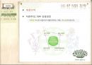 이니스프리(innisfree) (외부환경 분석, 화장품 산업 분석, 유통구조의 변화, 브랜드 분석, 아모레퍼시픽, 이니스프리 허브스테이션, 마케팅 관련, SWOT분석, STP 전략, 4P MIX 분석, 마케팅 사례).PPT자료 23페이지