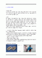 [스포츠] 스키에 대하여(ski) 2페이지