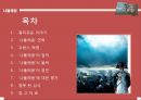 [서양사] 나폴레옹에 모든것.ppt 2페이지
