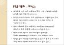 [독일테마기행] 독일의 음식문화 - 독일음식문화의 역사부터 소시지 까지.ppt 20페이지
