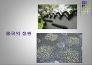 [환경조경학] 정원 - 세계의 정원.ppt 12페이지