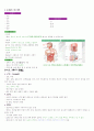 우리아이가 아픈 이유 총정리(중,기) 62페이지