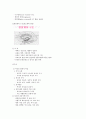 운동과 건강 기말 정리 19페이지