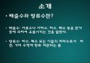 영남대 상하수도오염물질_배출기준 3페이지