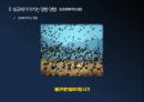 [빛공해, 광공해] 빛공해, 광공해의 의미, 특징, 빛공해, 광공해가 미치는 영향과 빛공해, 광공해 방지 방안 11페이지