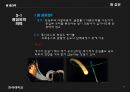 광 세라믹.PPT(광학유리. 광케이블. 레이저 재료) 12페이지