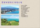 관광단지 3페이지