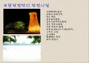 관광단지 5페이지