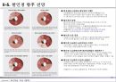 할인점, 할인마트의 의류사업현황 15페이지