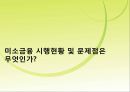 미소금융에 대한 레포트(금융기관론) 20페이지