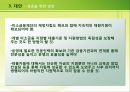 미소금융에 대한 레포트(금융기관론) 38페이지