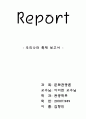 보령머드축제 보고서 1페이지