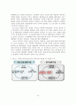 [A+레포트]국가경쟁력 확보를 위한 글로벌 물류기업 활성화 방안 20페이지