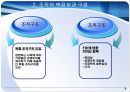 글로벌_기업_디자인,마케팅,브랜드,브랜드마케팅,기업,서비스마케팅,글로벌,경영,시장,사례, 5페이지