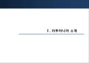리투아니아,마케팅,브랜드,브랜드마케팅,기업,서비스마케팅,글로벌,경영,시장,사례,swot,stp,4p 3페이지
