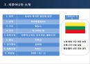 리투아니아,마케팅,브랜드,브랜드마케팅,기업,서비스마케팅,글로벌,경영,시장,사례,swot,stp,4p 4페이지