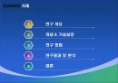 마케팅커뮤니케이션,가격정책,마케팅,브랜드,브랜드마케팅,기업,서비스마케팅,글로벌,경영,시장,사례, 2페이지