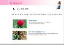모닝케어,모닝케어마케팅,마케팅,브랜드,브랜드마케팅,기업,서비스마케팅,글로벌,경영,시장,사례,swot,stp,4p 8페이지