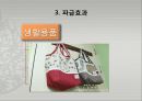 문화마케팅,문화전략,마케팅,브랜드,브랜드마케팅,기업,서비스마케팅,글로벌,경영,시장,사례,swot,stp,4p 10페이지