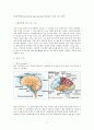 뇌동맥류(cerebral aneurysm)치료와 수술 후 간호 2페이지
