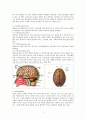 뇌동맥류(cerebral aneurysm)치료와 수술 후 간호 3페이지