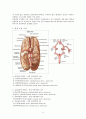 뇌동맥류(cerebral aneurysm)치료와 수술 후 간호 11페이지