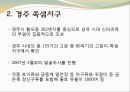 경주 쪽샘지구, 대릉원 천마총.PPT자료 8페이지