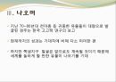 경주 쪽샘지구, 대릉원 천마총.PPT자료 19페이지