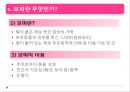 야생동물의 모피 3페이지