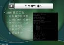 wcp프로젝트 7페이지