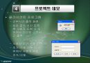 wcp프로젝트 10페이지