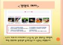 배너광고,오버추어광고,광고전략,광고마케팅,마케팅,브랜드,브랜드마케팅,기업,서비스마케팅,글로벌,경영,시장,사례,swot,stp,4p 4페이지