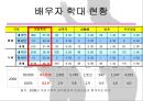 배우자학대,가족복지론,마케팅,브랜드,브랜드마케팅,기업,서비스마케팅,글로벌,경영,시장,사례,swot,stp,4p 3페이지