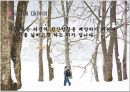 사랑방식,연애효과,마케팅,브랜드,브랜드마케팅,기업,서비스마케팅,글로벌,경영,시장,사례 4페이지
