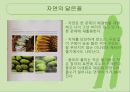 소화기관,마케팅,브랜드,브랜드마케팅,기업,서비스마케팅,글로벌,경영,시장,사례,swot,stp,4p 30페이지