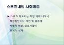 스포츠와사회계층,스포츠마케팅,마케팅,브랜드,브랜드마케팅,기업,서비스마케팅,글로벌,경영,시장,사례,swot,stp,4p 5페이지
