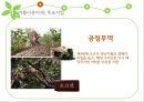 아름다운가게,재활용,마케팅,브랜드,브랜드마케팅,기업,서비스마케팅,글로벌,경영,시장,사례,swot,stp,4p 7페이지