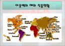 아웃백,해외진출,마케팅전략,마케팅,브랜드,브랜드마케팅,기업,서비스마케팅,글로벌,경영,시장,사례,swot,stp,4p 3페이지