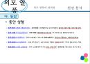 외모열풍,얼짱,몸짱,동안,사회이슈 12페이지