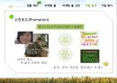 자연주의,이니스프리,마케팅,브랜드,브랜드마케팅,기업,서비스마케팅,글로벌,경영,시장,사례,swot,stp,4p 8페이지