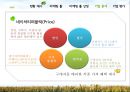 자연주의,이니스프리,마케팅,브랜드,브랜드마케팅,기업,서비스마케팅,글로벌,경영,시장,사례,swot,stp,4p 10페이지