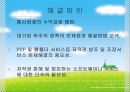 인터넷종량제,사회문제,이슈,마케팅,브랜드,브랜드마케팅,기업,서비스마케팅,글로벌,경영,시장,사례,swot,stp,4p 8페이지